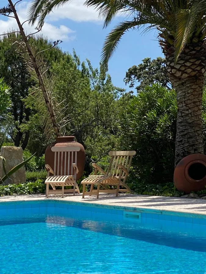 Adamah Vayu -Casa Serenida Loulé 0*,