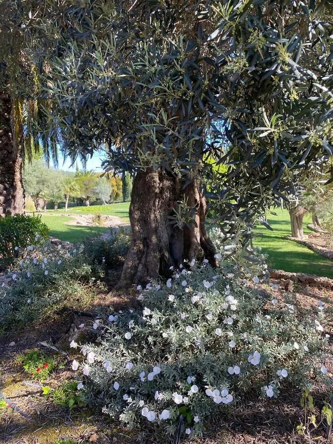 Bed & Breakfast Adamah Vayu -Casa Serenida Loule